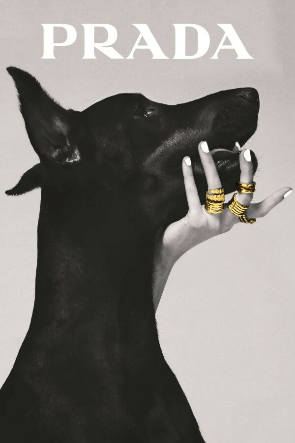 Prada Dog