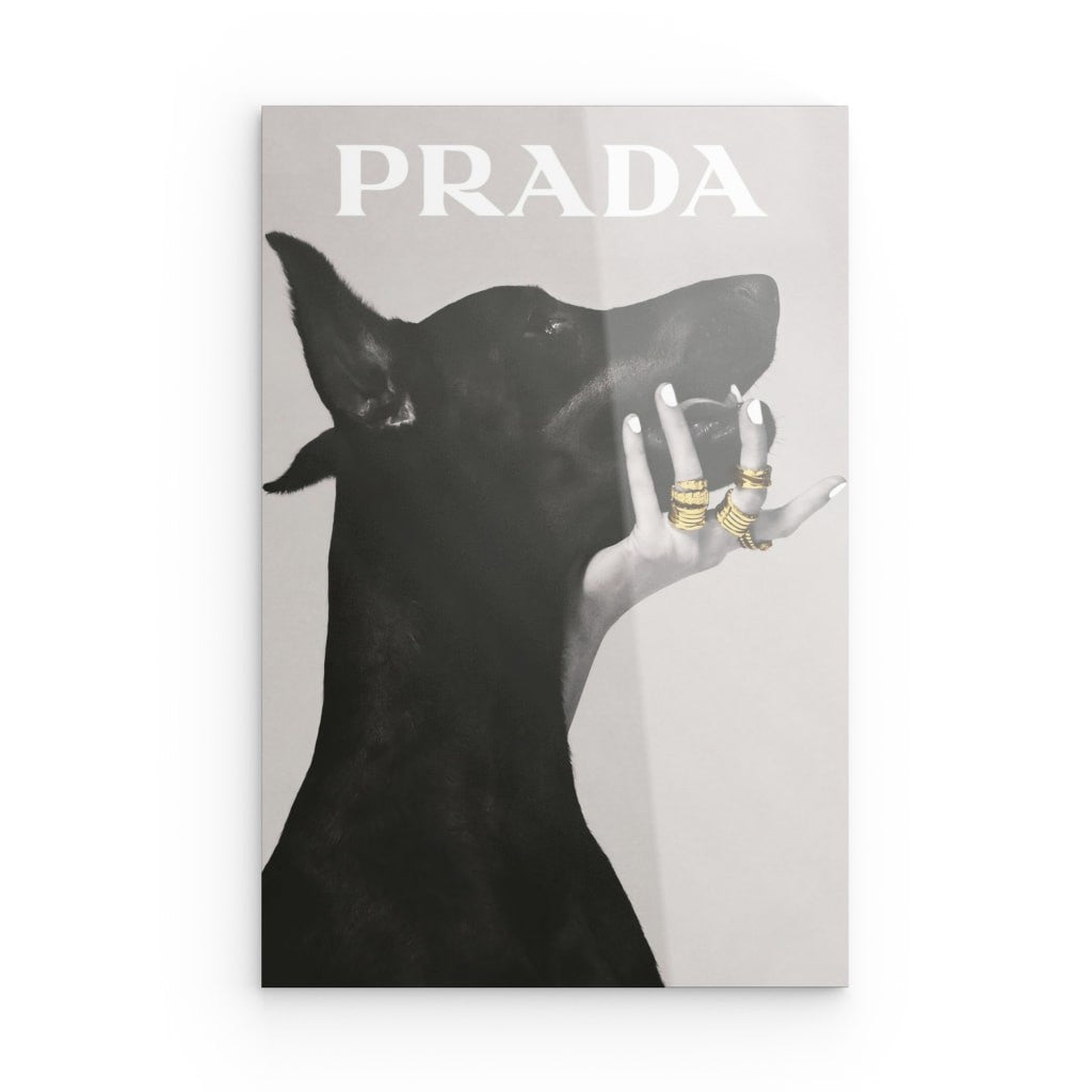 Prada Dog