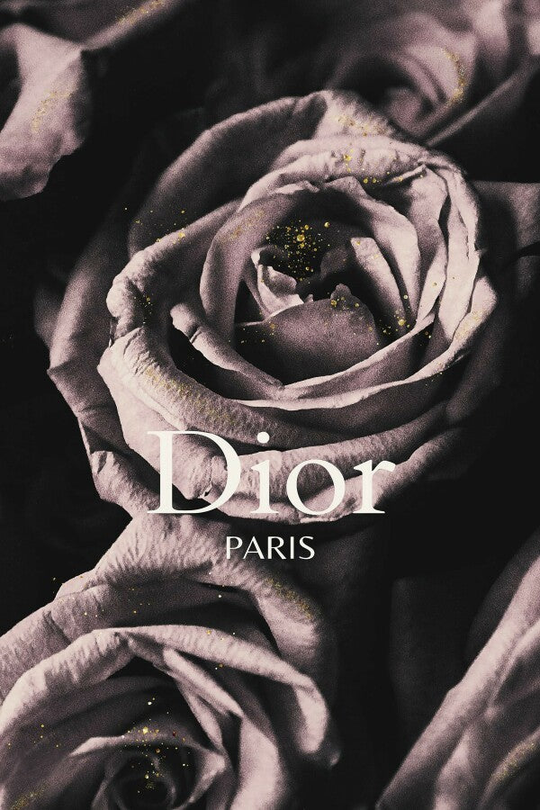 Rose Dior