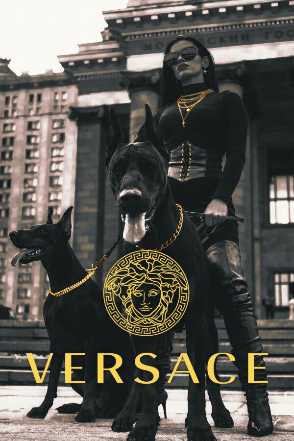 Versace Guard Dogs