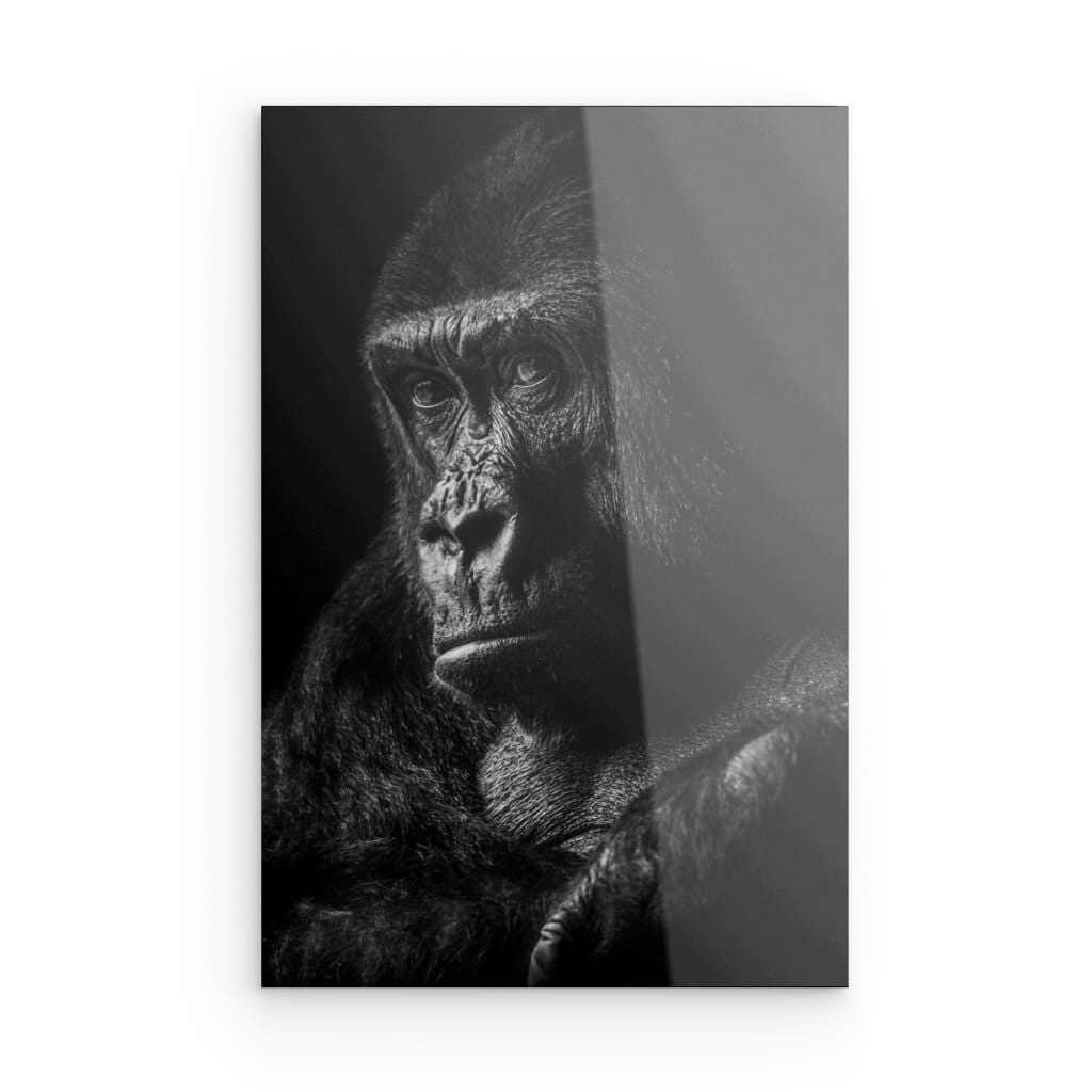 Gorilla 1
