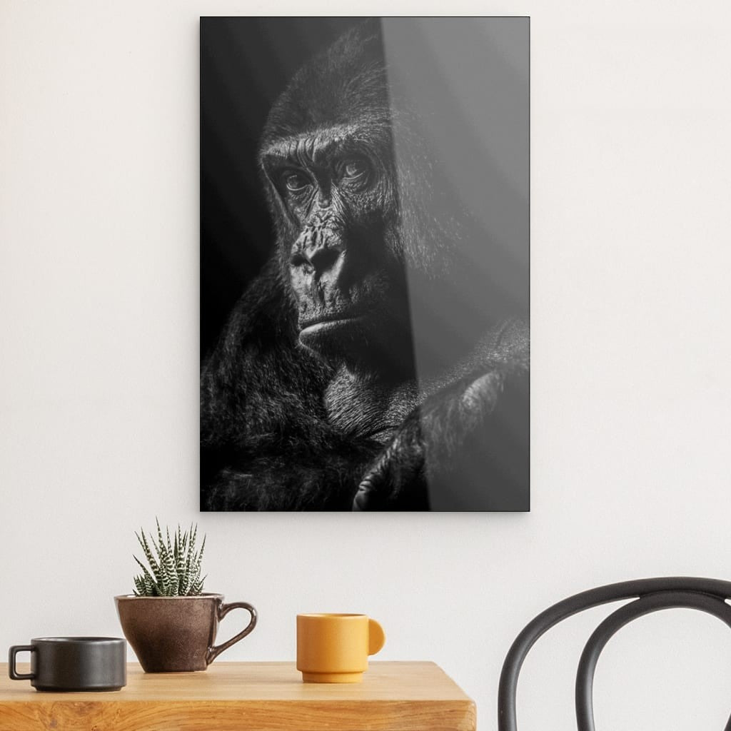 Gorilla 1