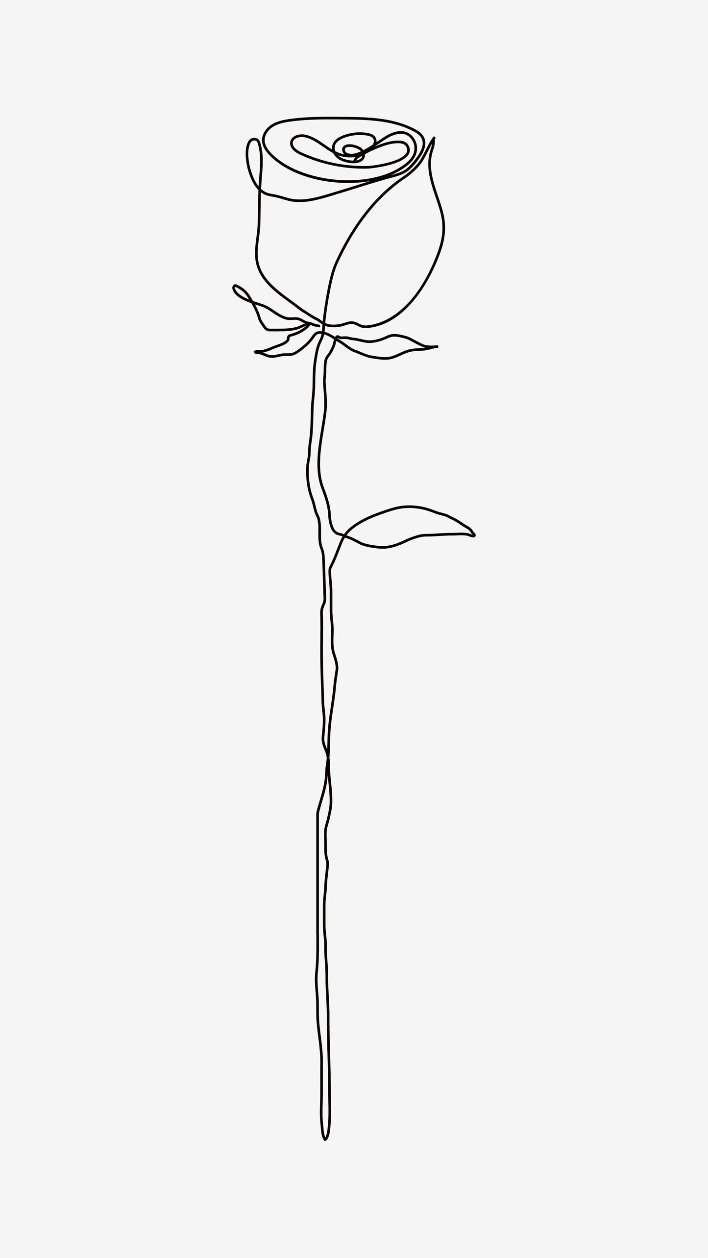 Rose Flower Line Art