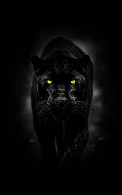 Jaguar Portret