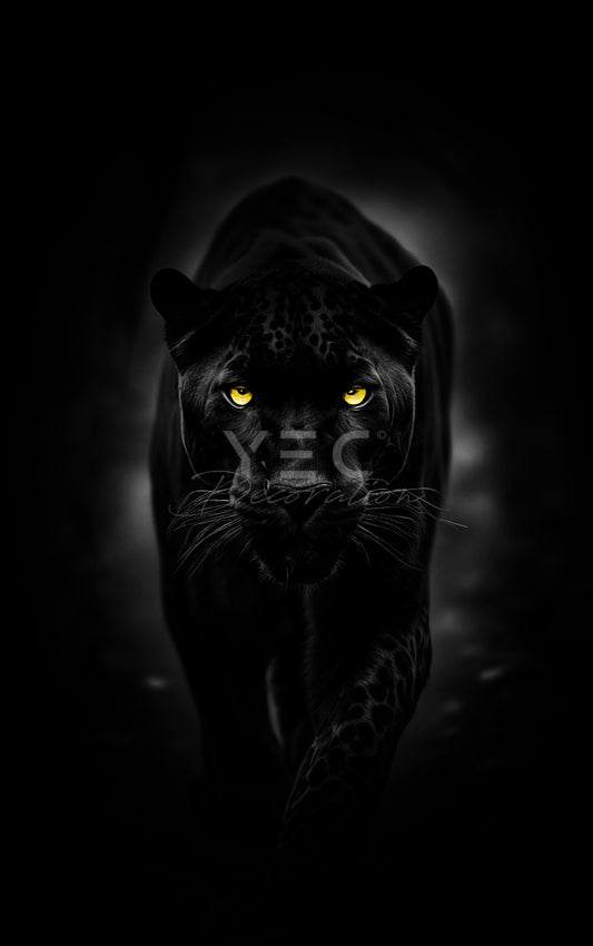 Jaguar Portret