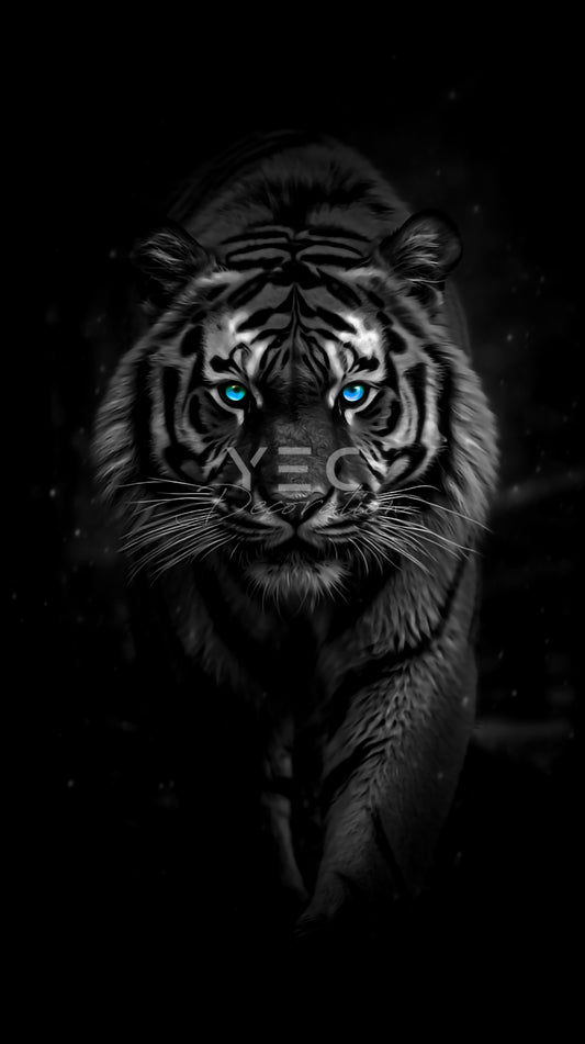 Tiger Portret