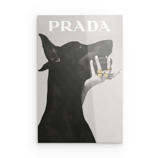 Prada Dog