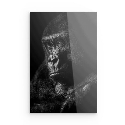 Gorilla 1