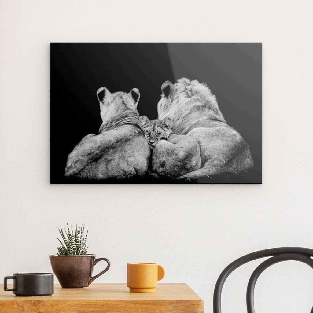 Lion Family