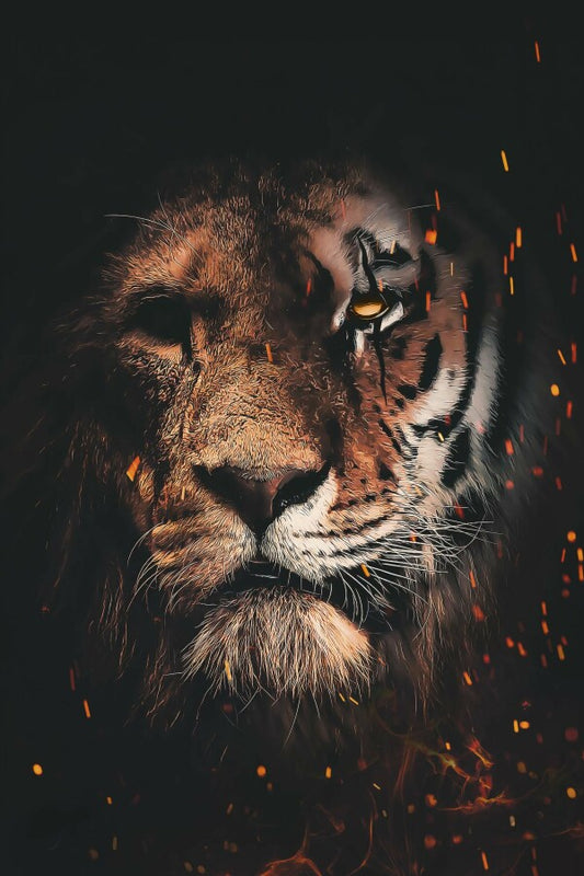Lion Tiger