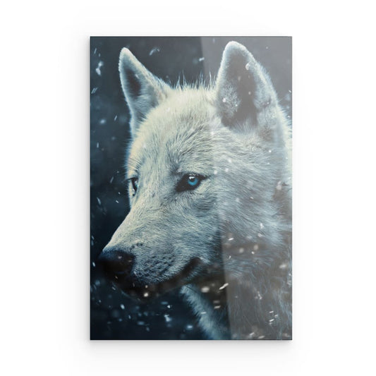 Snowy Wolf