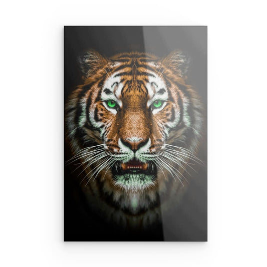 Tiger on Black